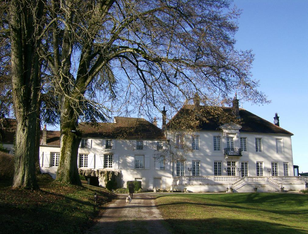 Le Chateau De Prauthoy Exterior photo